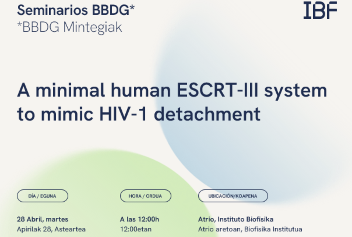 BBDG Seminar: "A minimal human ESCRT-Ill system to mimic HIV-1 detachment"