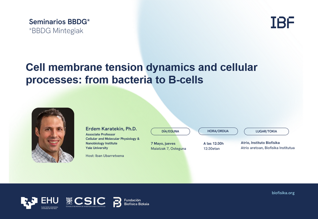 BBDG Seminar: "Cell membrane tension dynamics and cellular processes: from bacteria to B-cells"