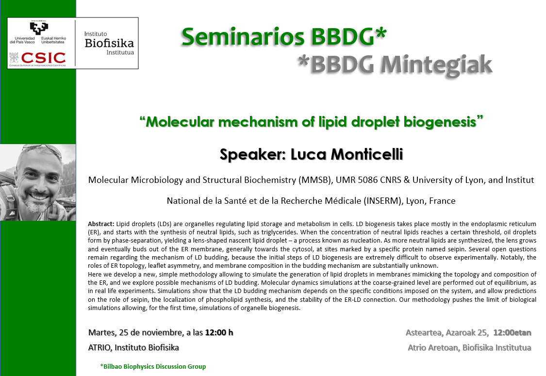 BBDG Seminar: "Molecular mechanism of lipid droplet biogenesis"