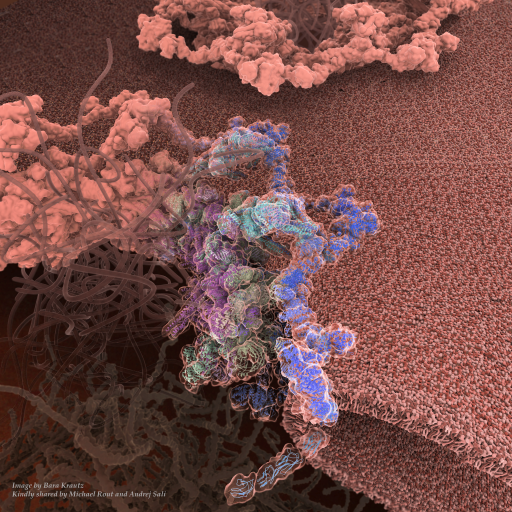 Integrative Structural and Functional Characterization of Macromolecular Assemblies Laboratory