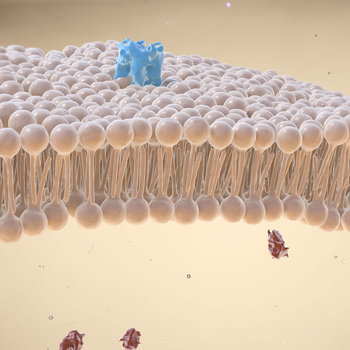 Membrane Nanomechanics Laboratory