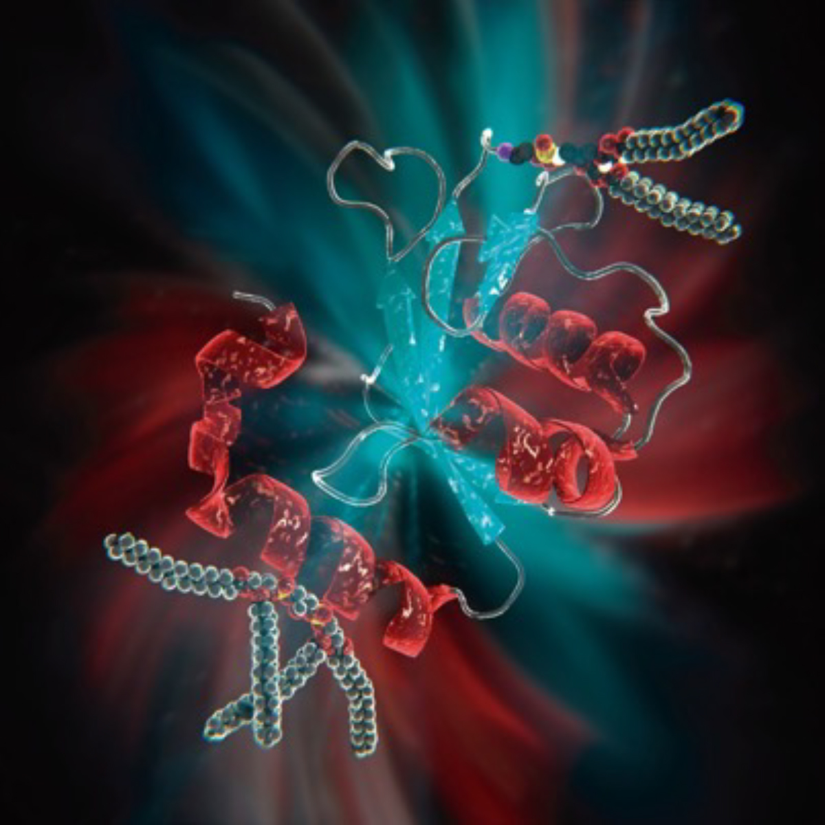 Lipid-Protein Interactions in Cellular Processes Laboratory