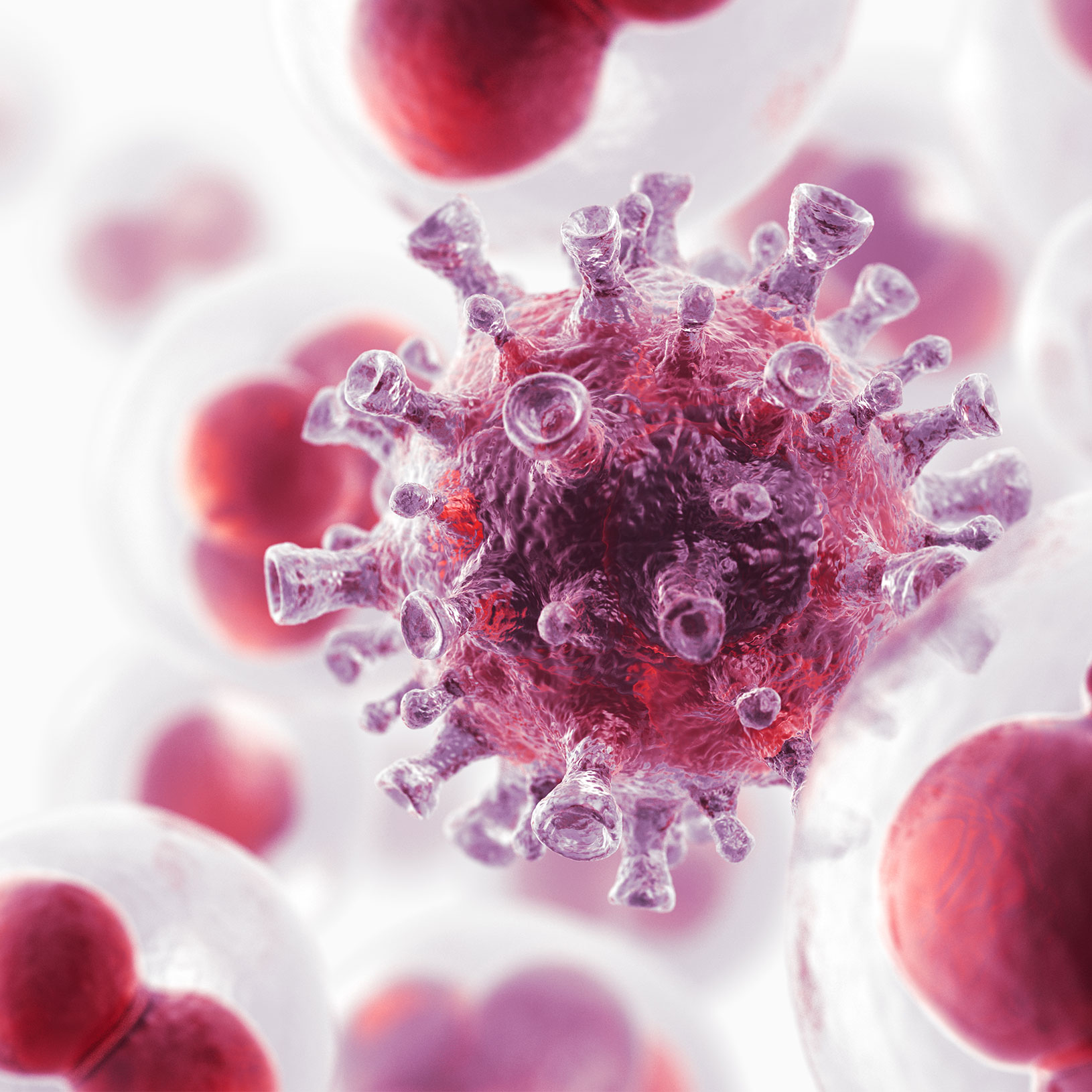 Antibody engineering & Membrane Biophysics in disease