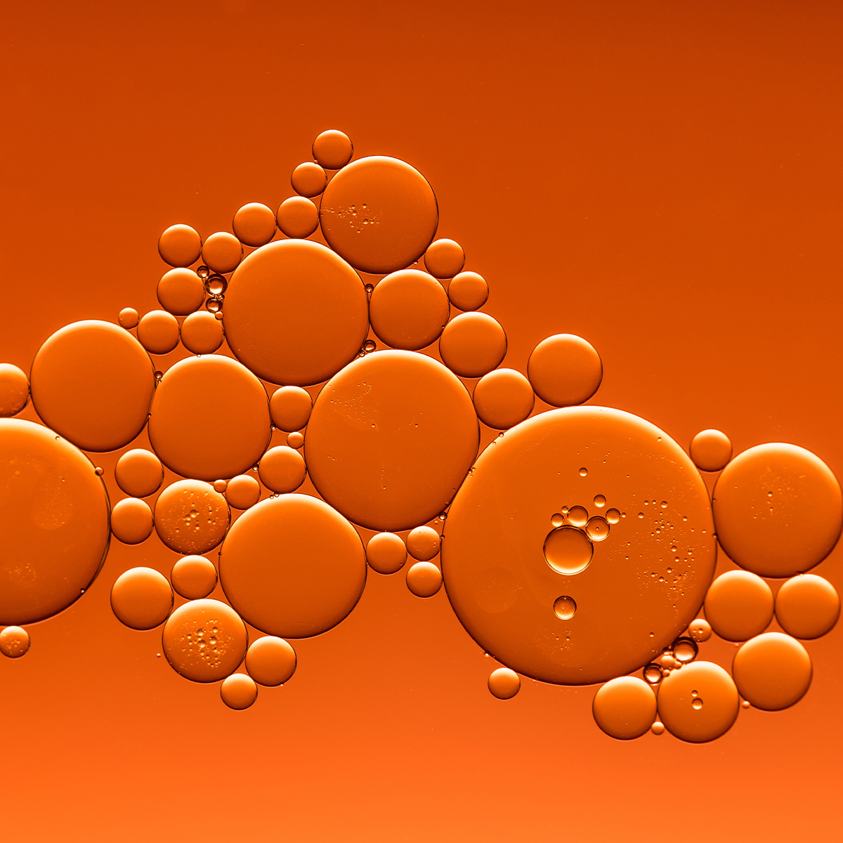 Sphingolipids and Membrane Domains Laboratory