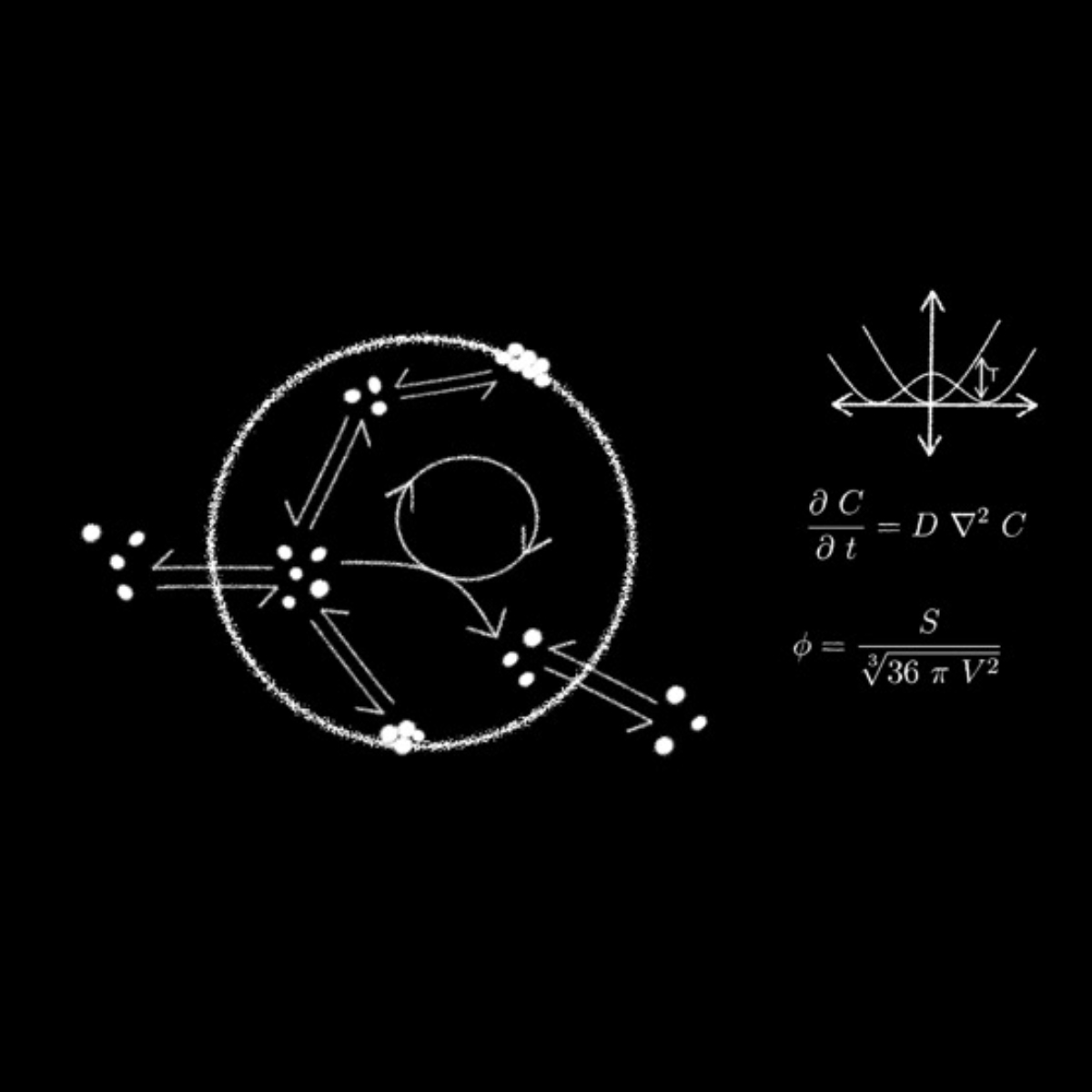 Theoretical / Protocell Biophysics Laboratory